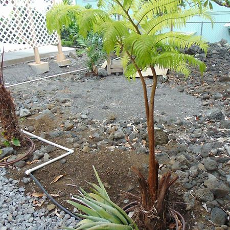 Ohana Hale Kailua-Kona Exterior foto